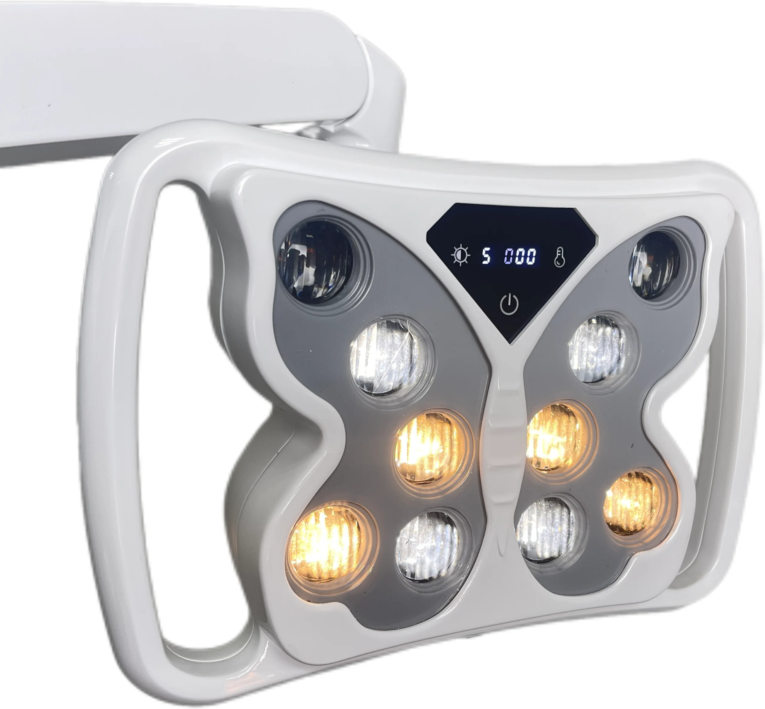 Butterfly LED Lamp Detail View