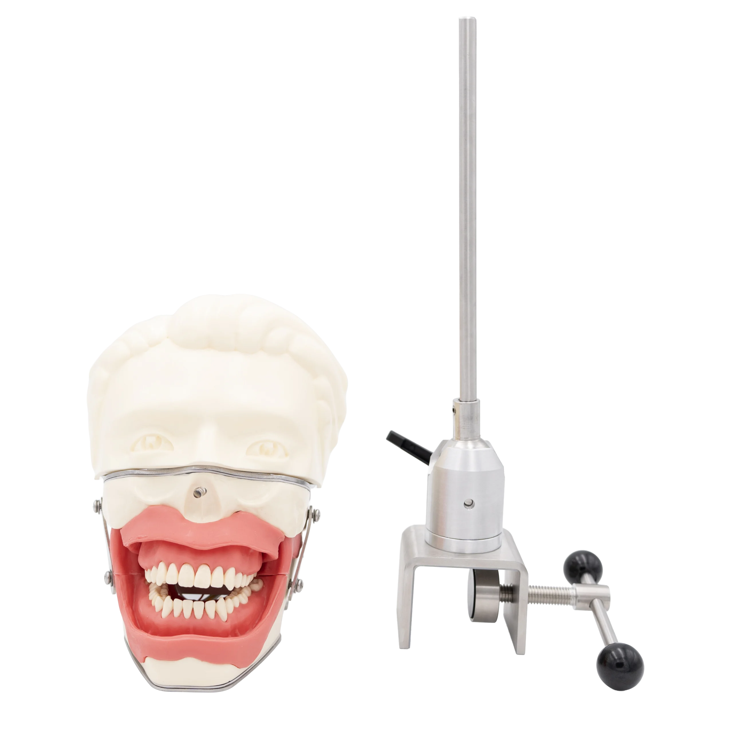 AZ-AP302-5C Training Unit with Anesthesia Block Phantom Head System - Nerve Block Practice Configuration