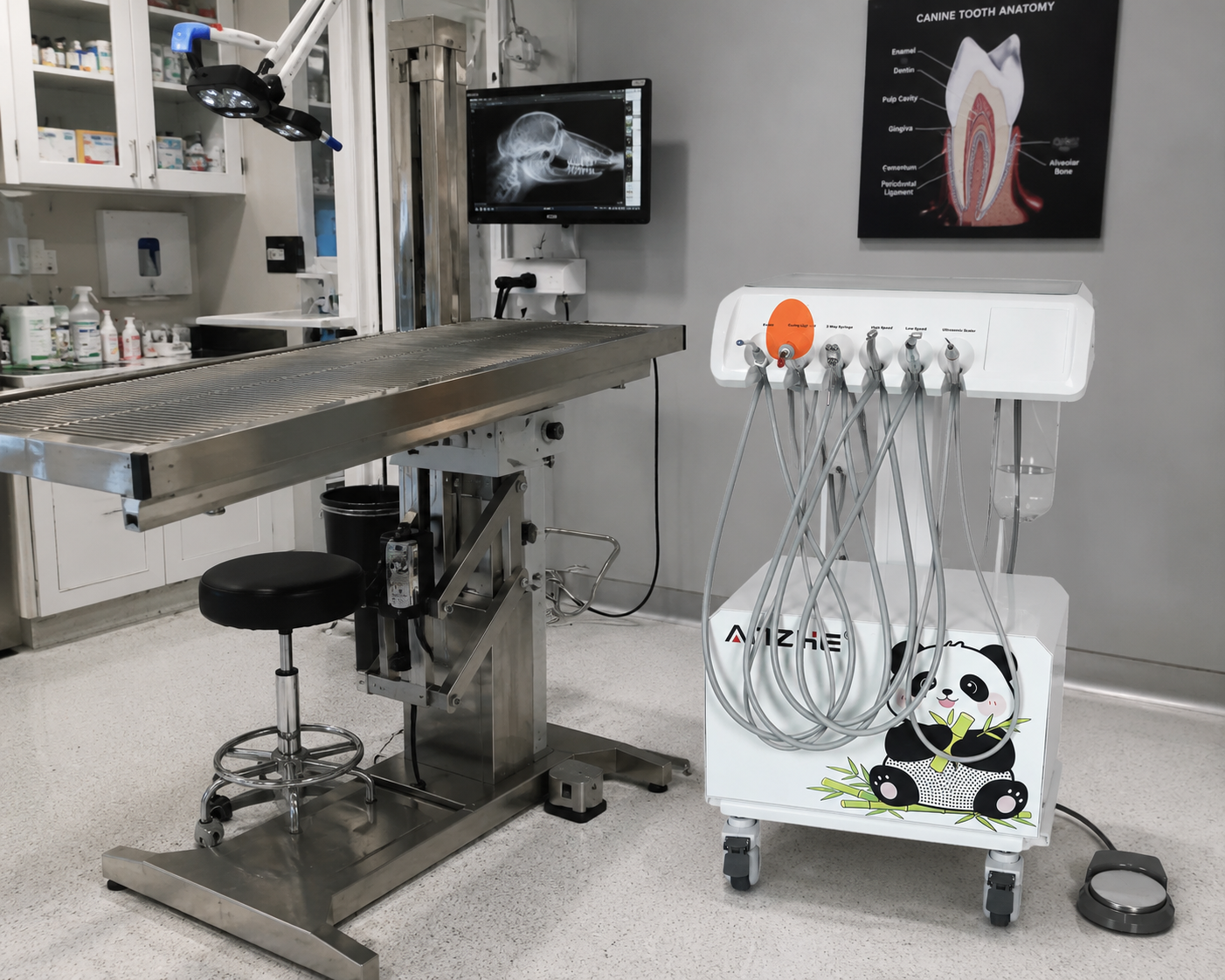 Mobile AZ-AP201 Veterinary Dental Unit Positioned in Clinic Treatment Area