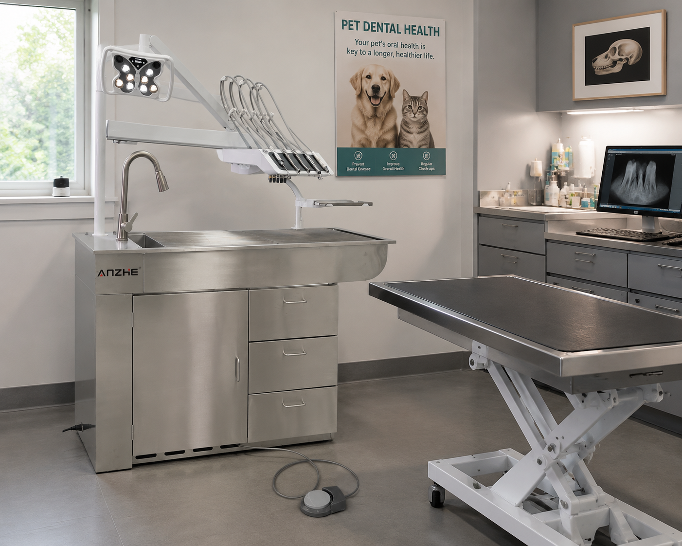 VE04 Veterinary Treatment Unit Setup in Veterinary Clinic Examination Room