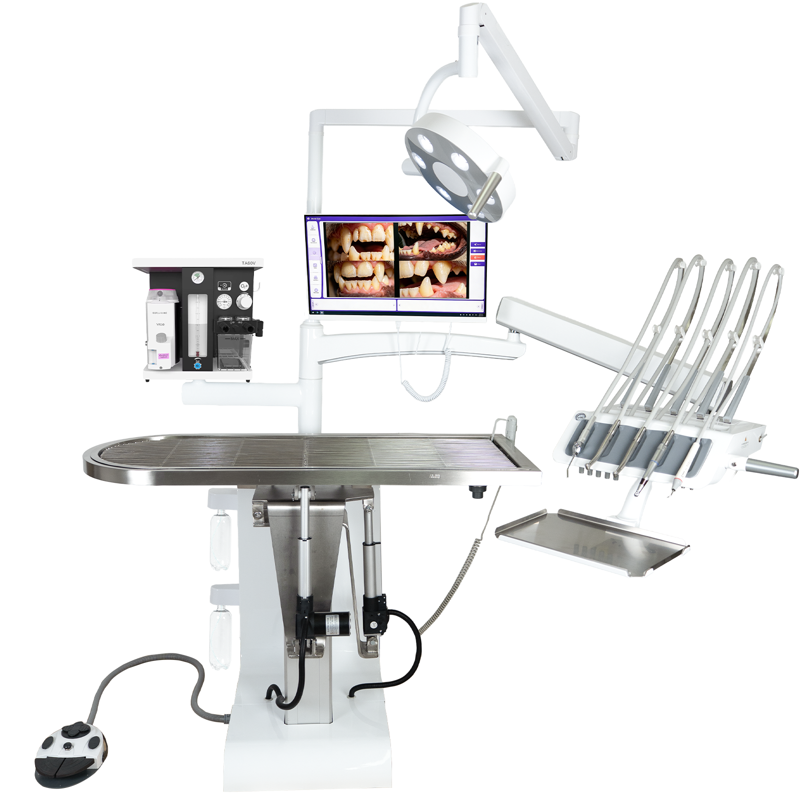 VE05 Combined Veterinary Dental and Surgical Workstation - Left Side View